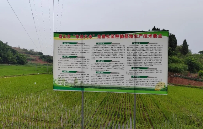 定制化肥料解決方案，助力東坡大米產(chǎn)業(yè)健康發(fā)展